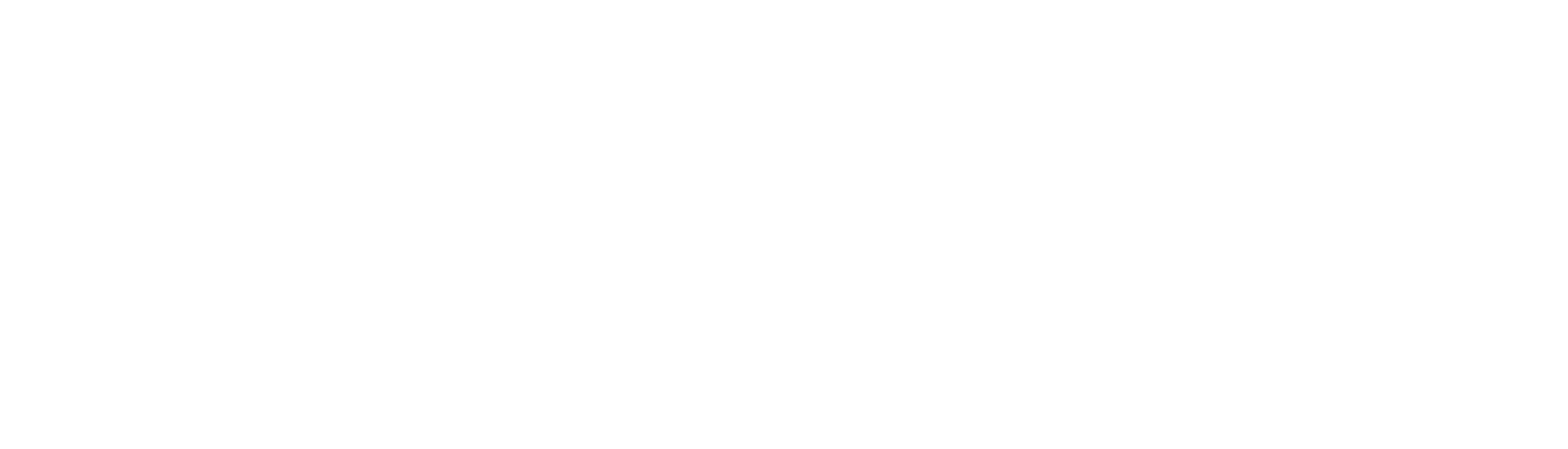 Google Chrome Enterprise Horizontal White RGB